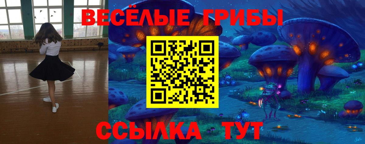 Гудермес  Галлюциногенные грибы Psilocybine cubensis  Псилоцибиновые грибы Psilocybine cubensis  Вход с VPN 