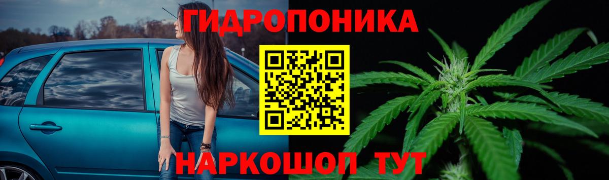 МАРИХУАНА VHQ Гудермес